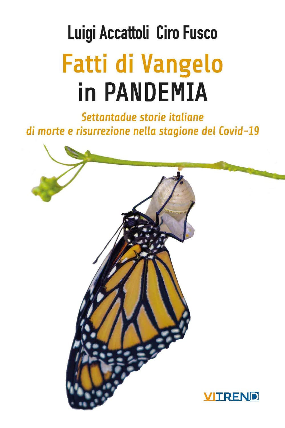Fatti di Vangelo in Pandemia. Settantadue storie italiane di morte e risurrezione nella stagione del Covid-19 book