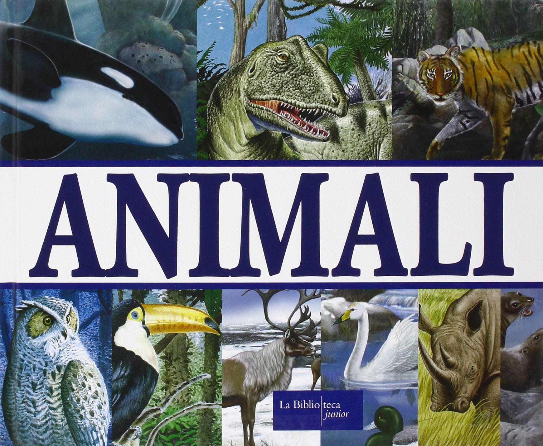 Animali. Ediz. illustrata Non-fiction
