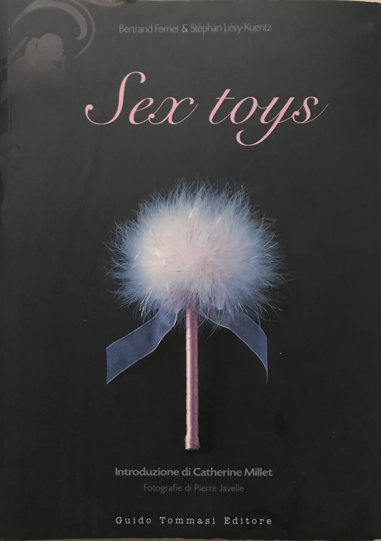 Sex toys (Gli illustrati) Business, Finance & Career