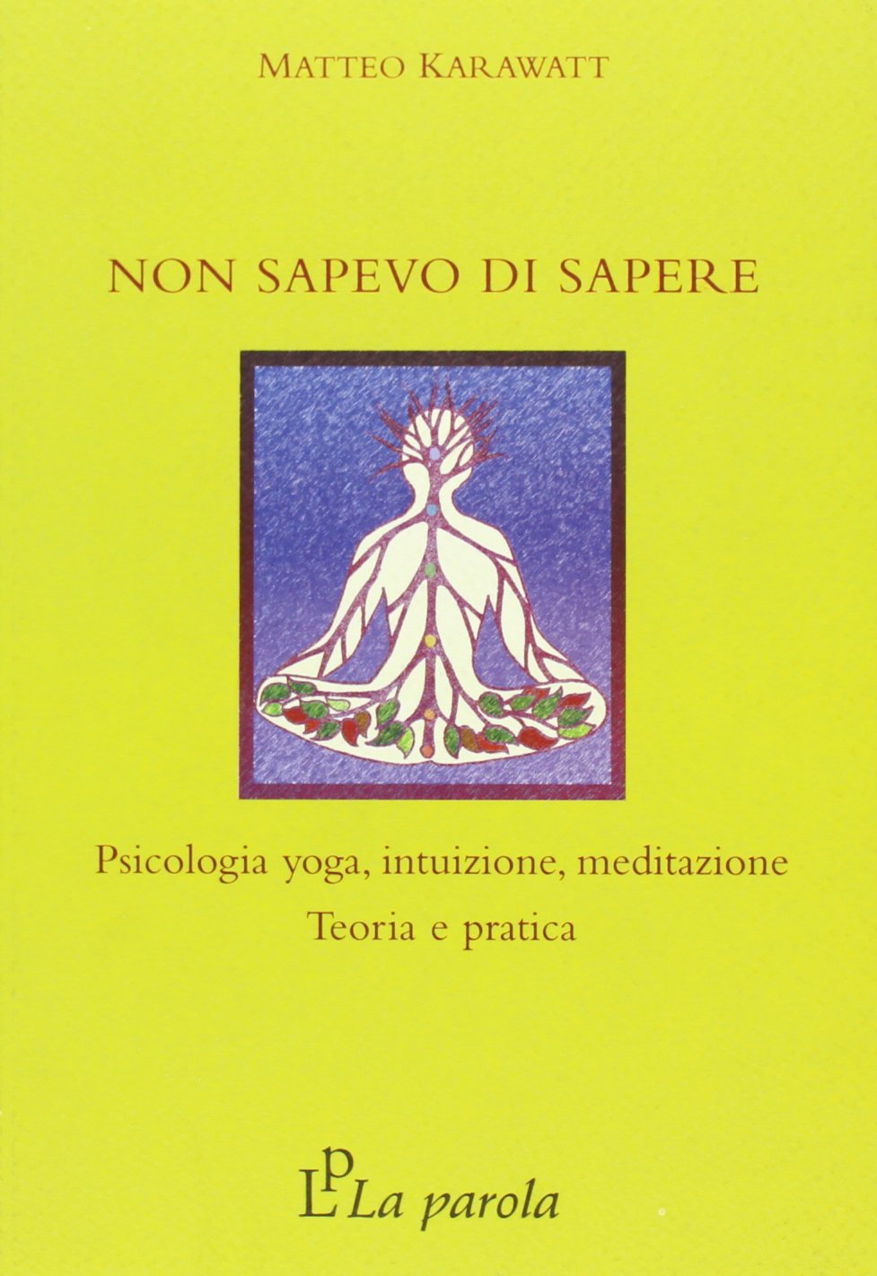 Non sapevo di sapere. Psicologia yoga, intuizione, meditazione. Teoria e pratica book