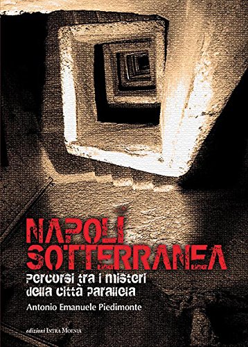 Napoli sotterranea. Percorsi tra i misteri della città parallela book
