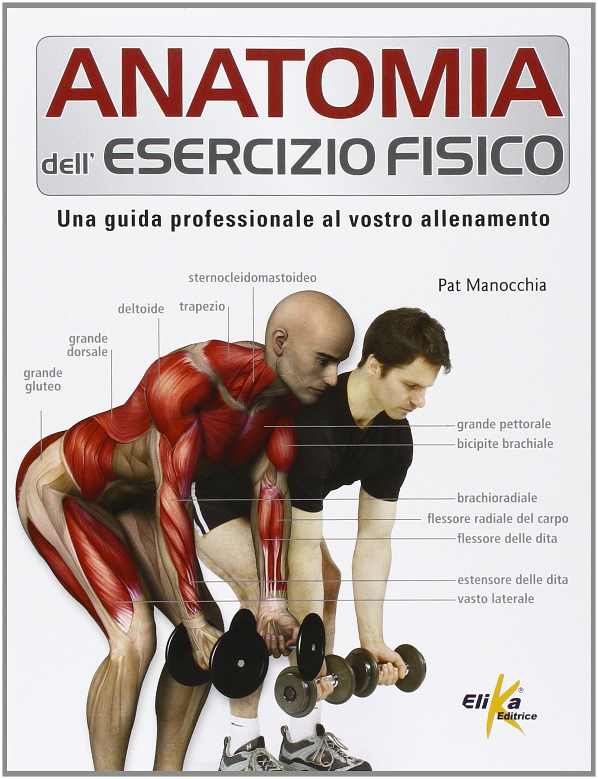 Anatomia dell'esercizio fisico. Una guida professionale al vostro allenamento book