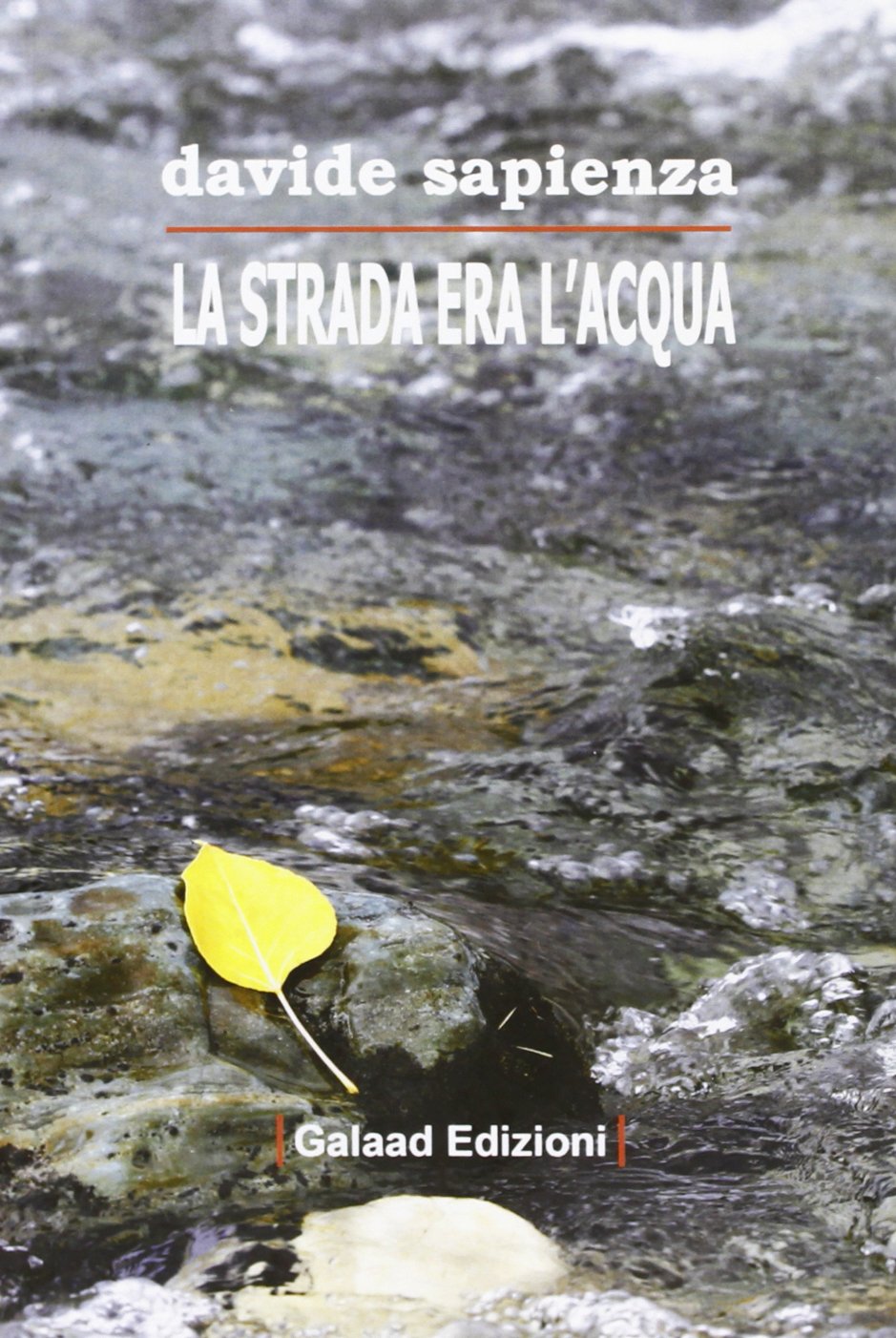 La strada era l'acqua (La quercia e il tiglio) Contemporary literature