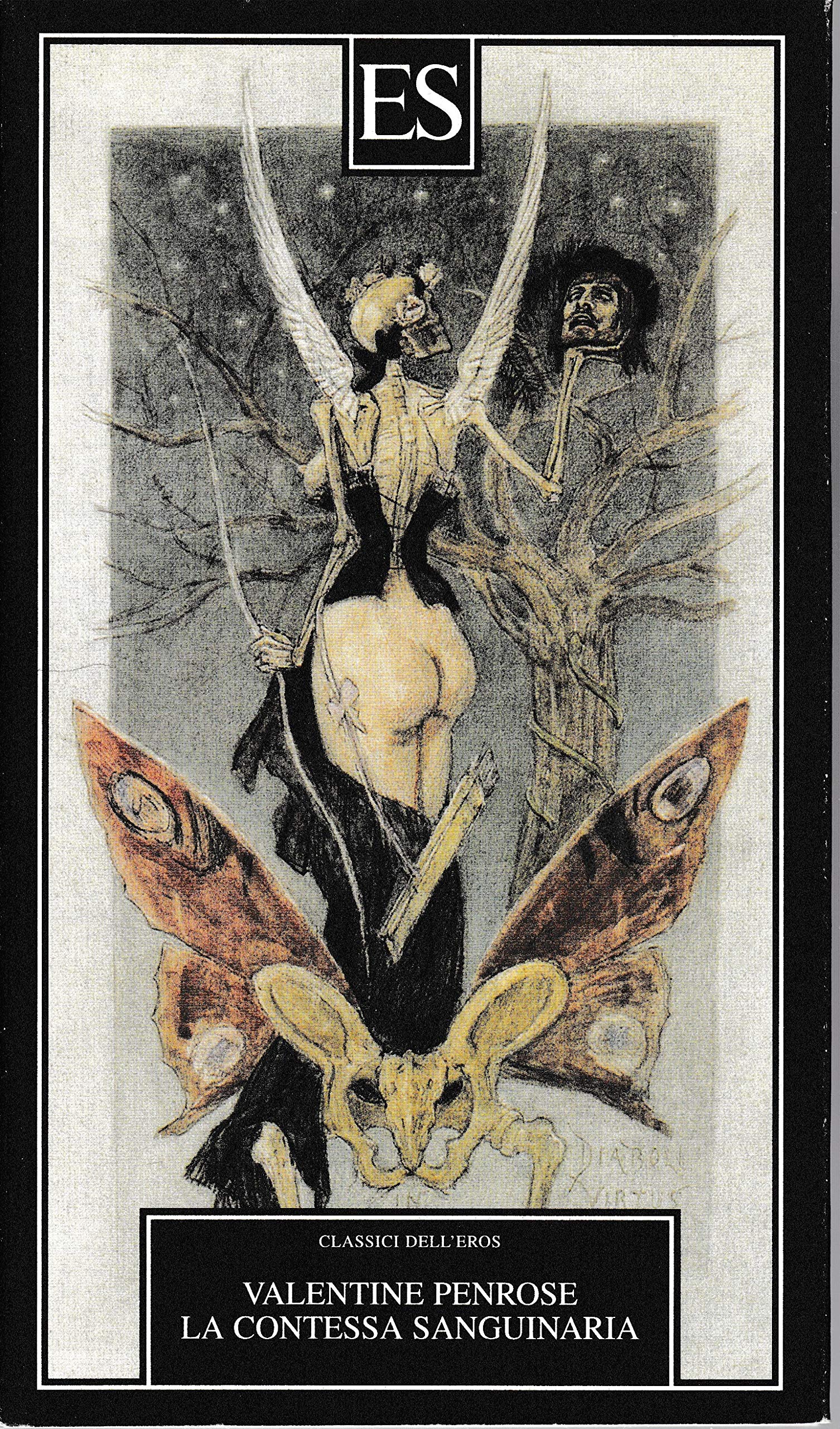 La contessa sanguinaria book