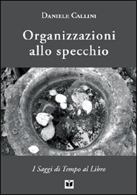 Organizzazioni allo specchio. Persone, sistemi organizzati, complessità book