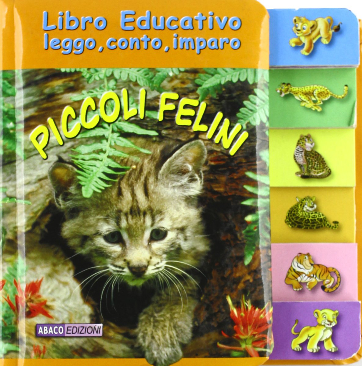 Piccoli felini. Libro educativo leggo, conto, imparo. Ediz. illustrata book