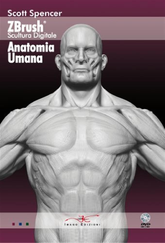 Zbrush sculpture numérique anatomie humaine book