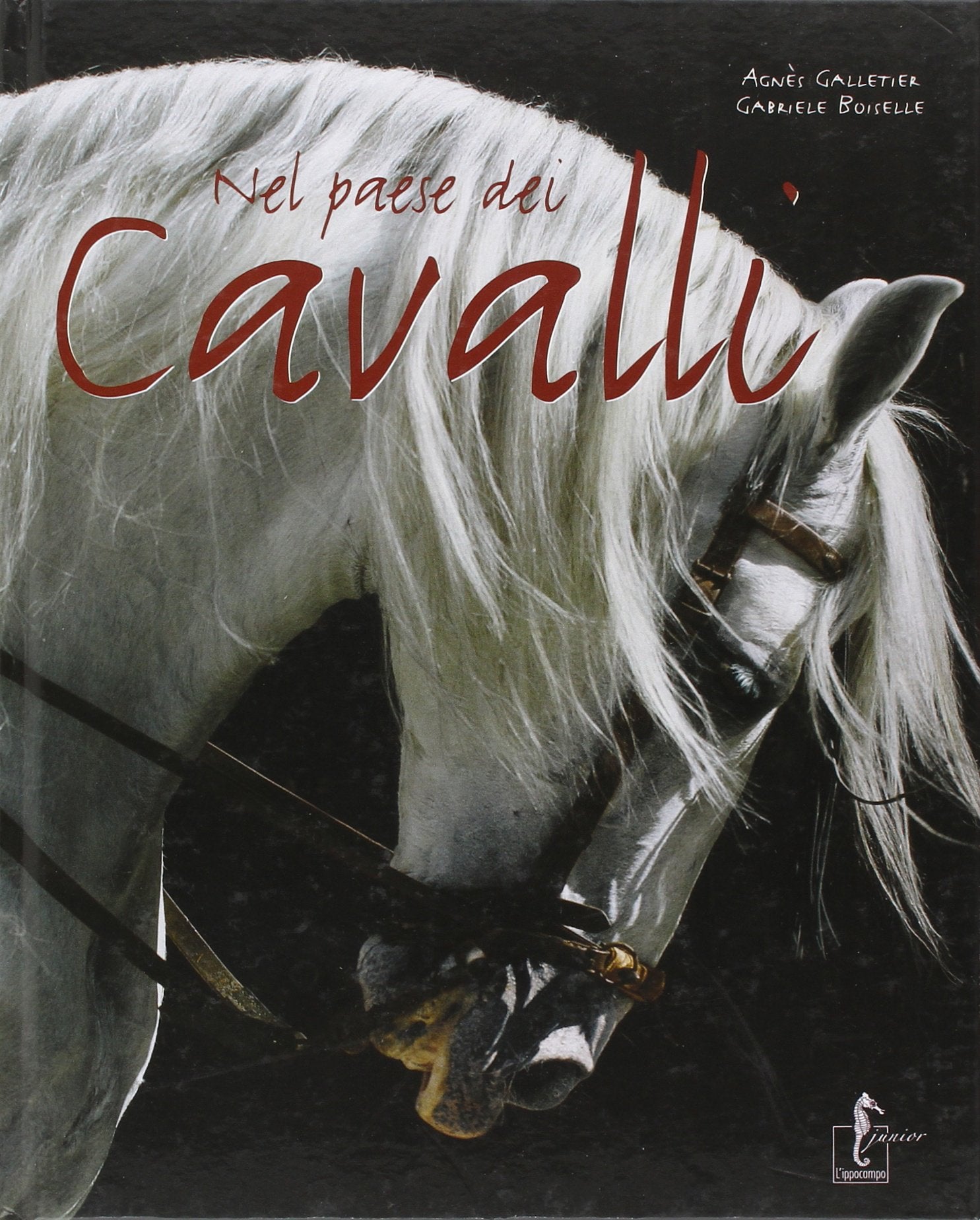 Nel paese dei cavalli Pets