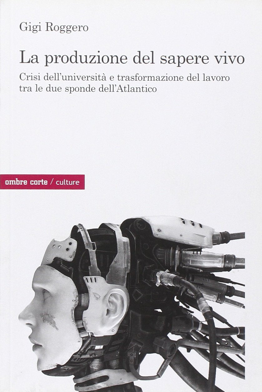 La produzione del sapere vivo. Crisi dell'università e trasformazione del lavoro tra le due sponde dell'Atlantico book