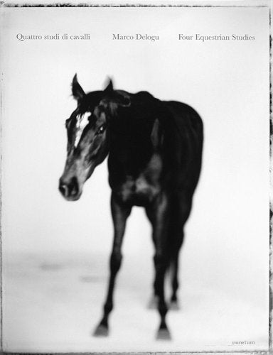 Il cavallo di bronzo nei musei capitolini: un originale greco a Roma-Quattro studi di cavalli. Ediz. italiana e inglese (Punctum) Film, Art & Culture