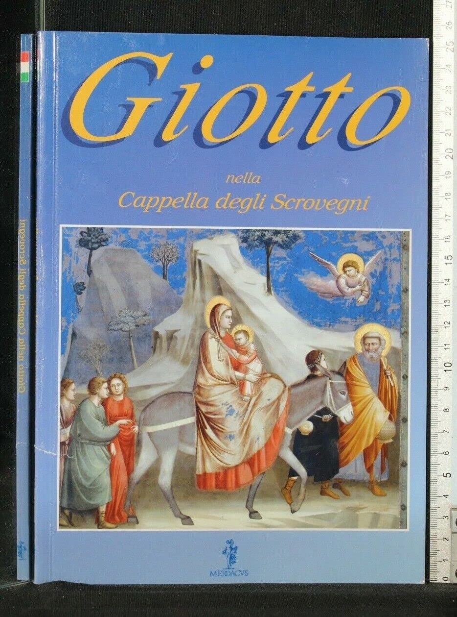 Giotto nella cappella degli Scrovegni. Ediz. illustrata Leisure, Home & Garden