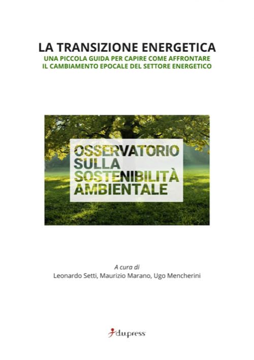 La transizione energetica. Una piccola guida per capire come affrontare il cambiamento epocale del settore energetico book