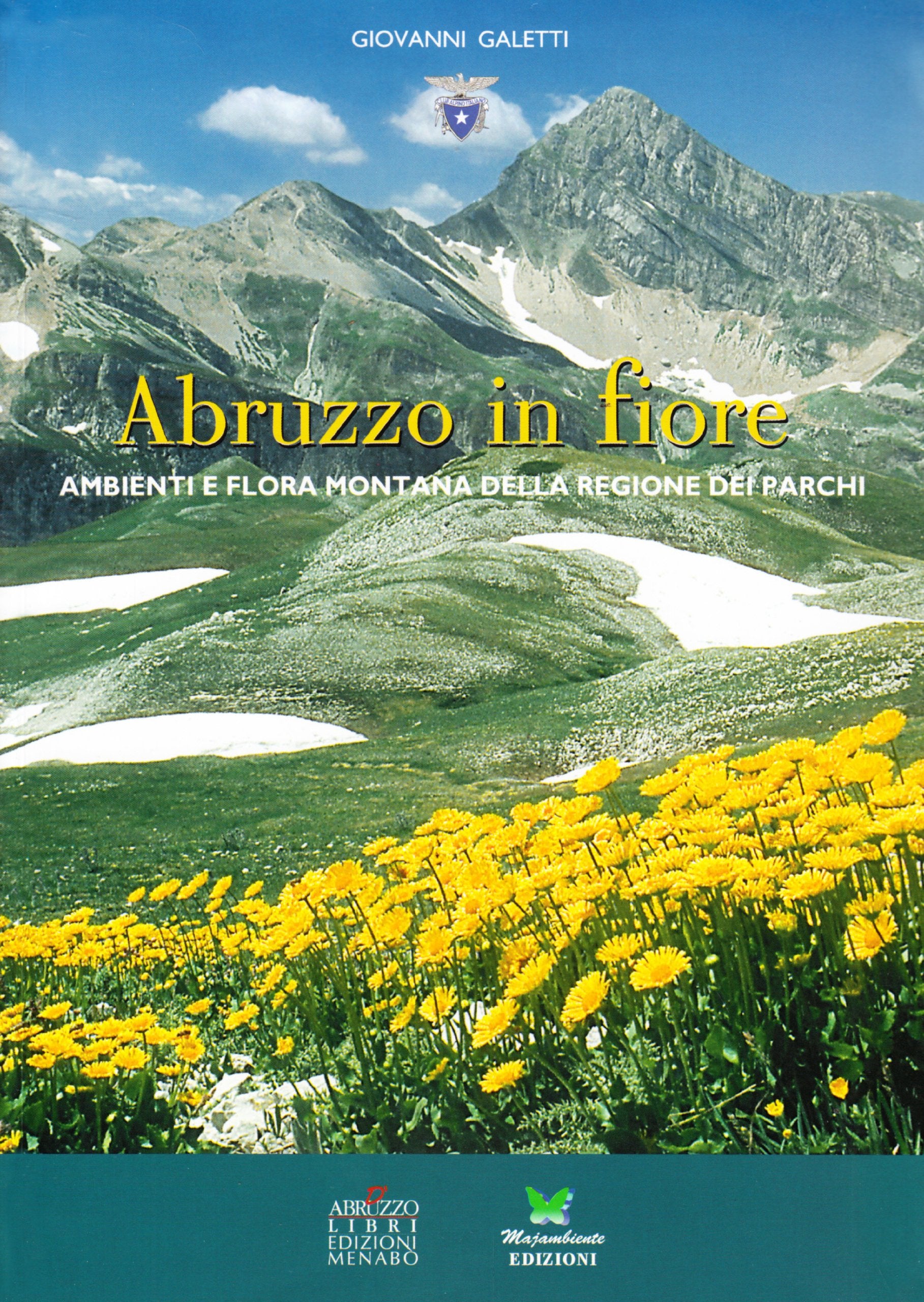 Abruzzo in fiore. Ambienti e flora montana della regione dei parchi. Ediz. illustrata Leisure, Home & Garden