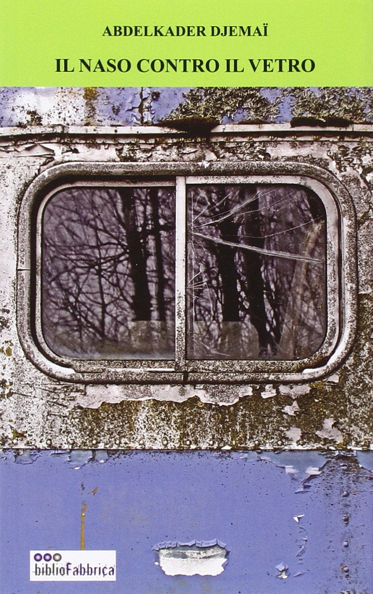 Il naso contro il vetro (Croce del sud) Contemporary literature