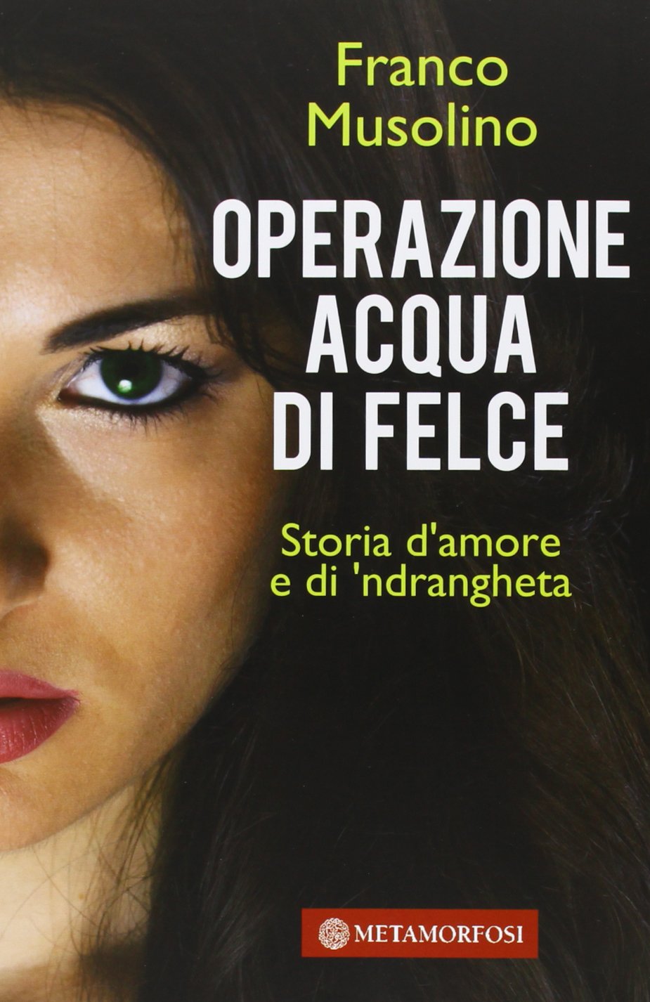 Operazione acqua di felce. Storia d'amore e di 'ndrangheta book