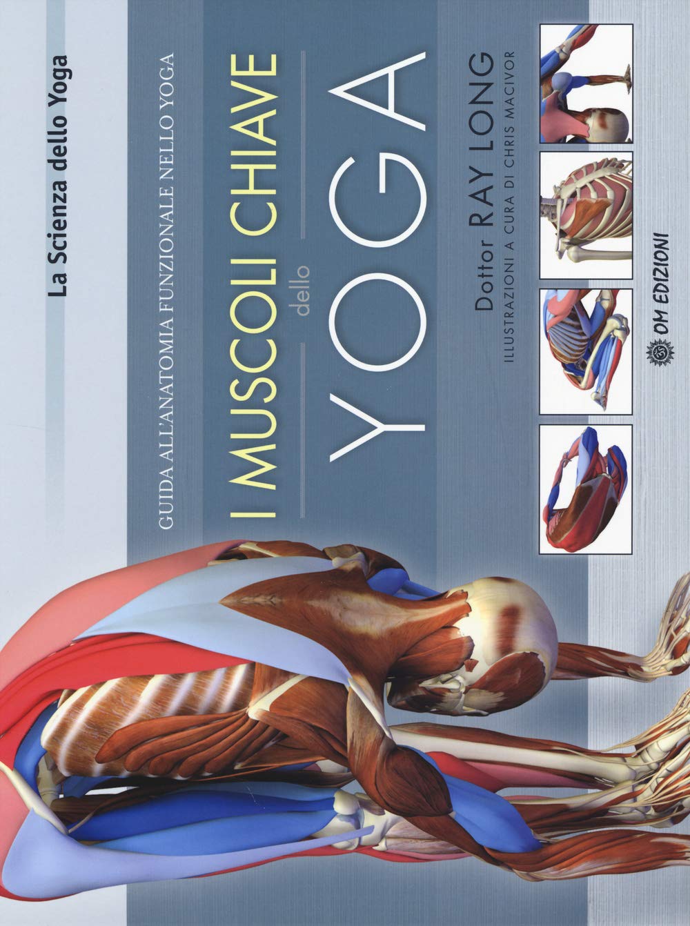 I muscoli chiave dello yoga. Guida all'anatomia funzionale nello yoga Philosophy