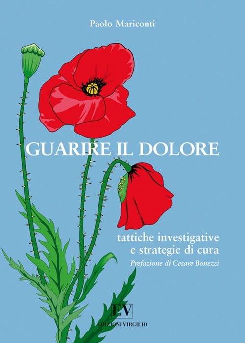 Guarire il dolore. Tattiche investigative & strategie di cura book