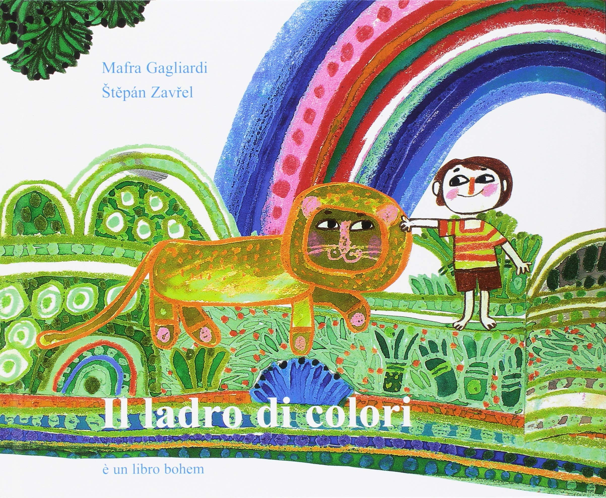 Il ladro di colori book