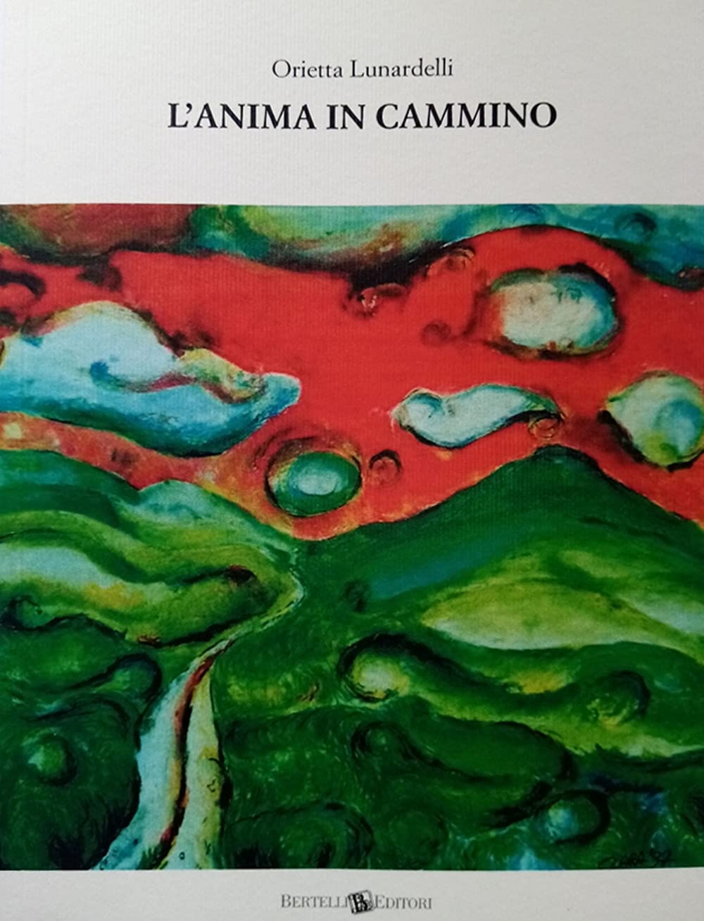 L'anima in cammino book