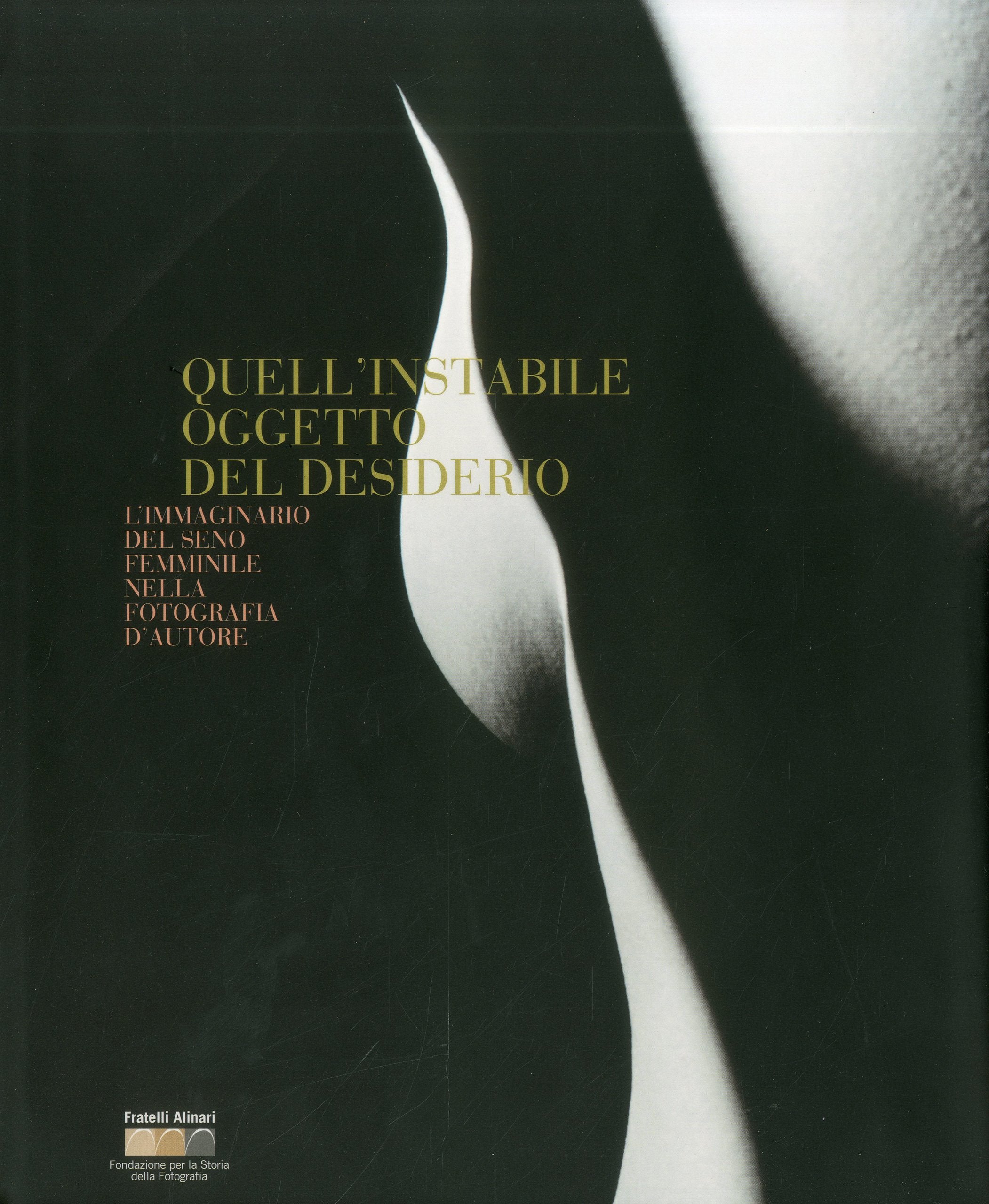 Quell'instabile Oggetto Del Desiderio / That Unstable Object of Desire: L'Immaginario Del Seno Femminile Nella Fotografia D'Autore / Images of the Female Breast by Masters of Photography book