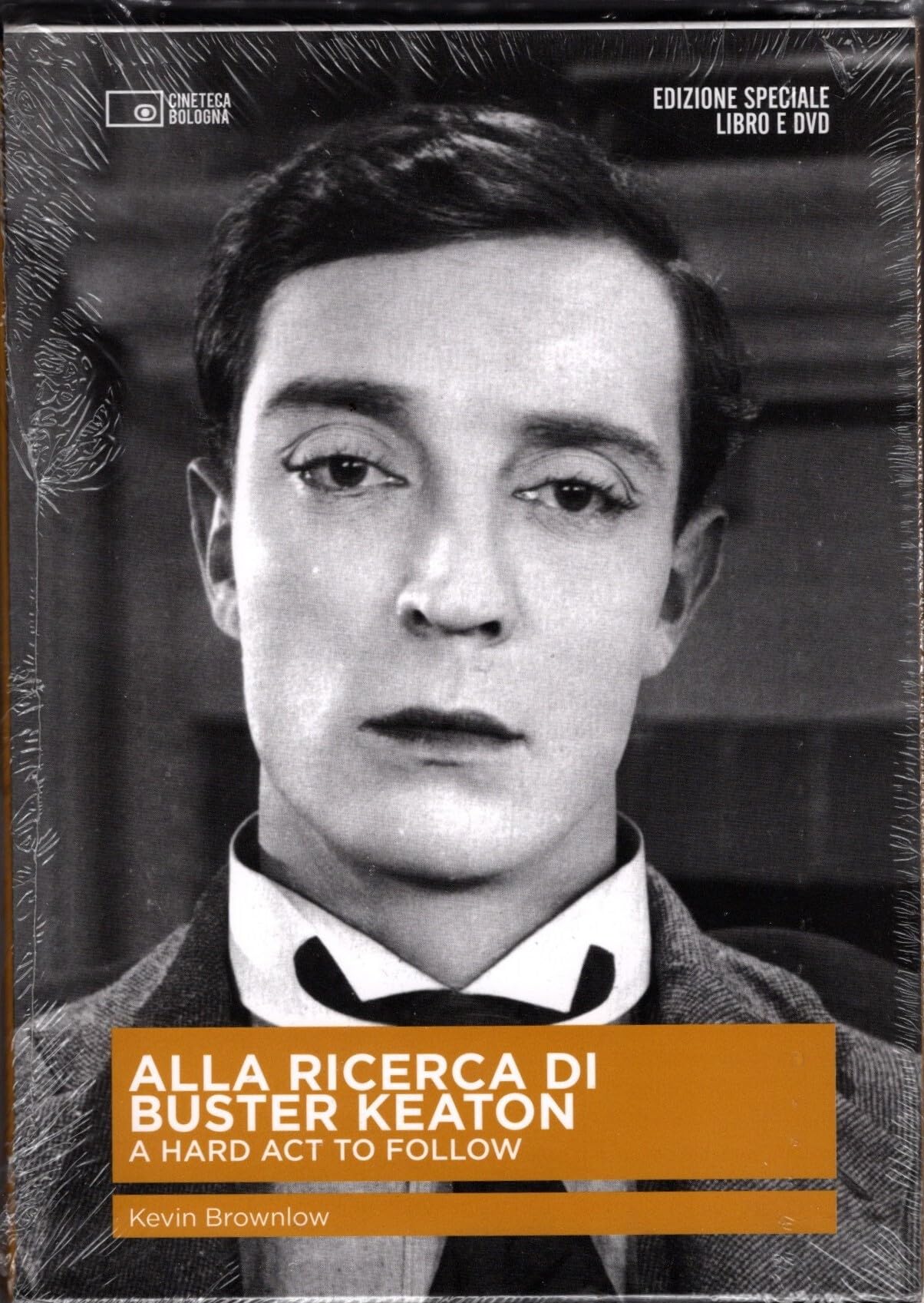 Alla ricerca di Buster Keaton. Con DVD (Il cinema ritrovato) Film, Art & Culture