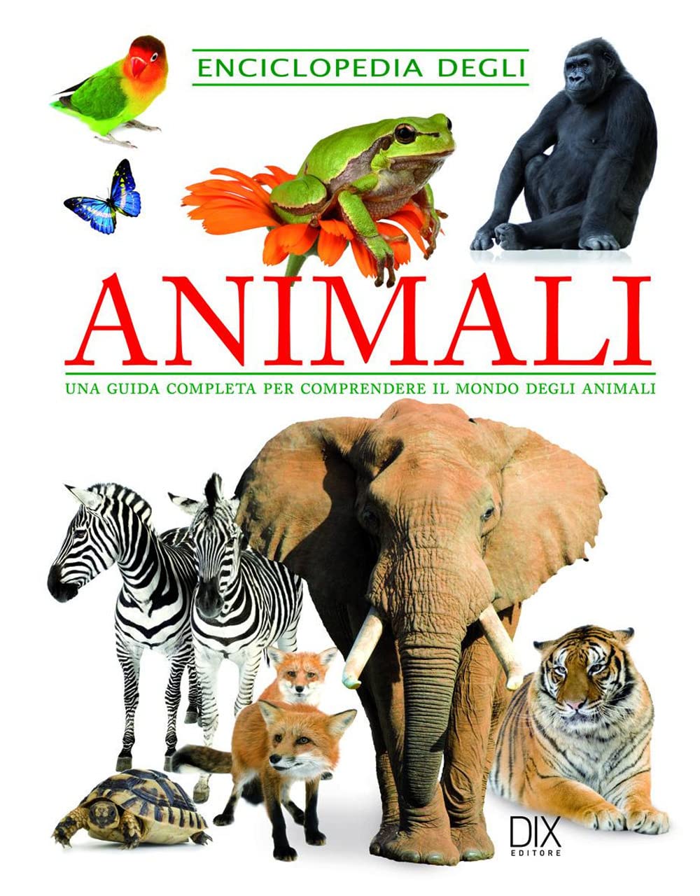 Enciclopedia degli animali (Varia illustrata) Non-fiction