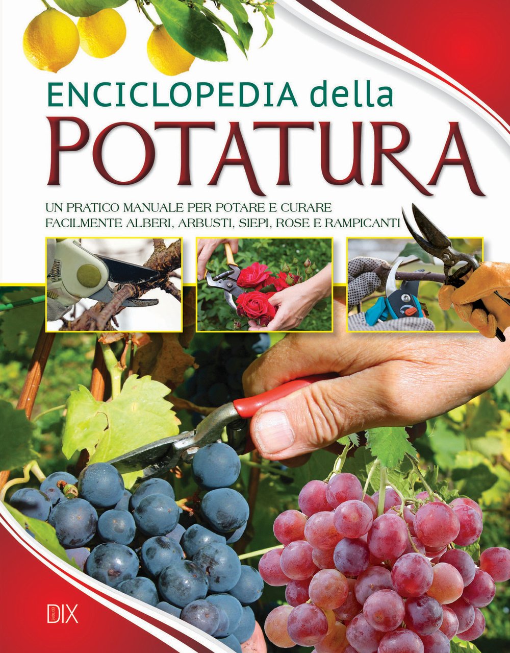 Enciclopedia della potatura (Varia illustrata) Garden & Plants