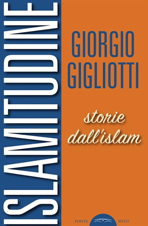 Islamitudine. Storie dall'Islam book