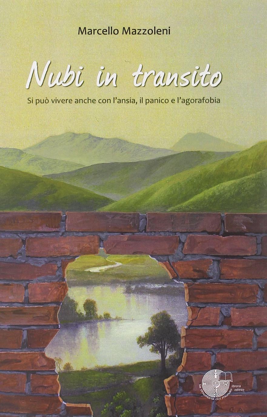 Nubi in transito. Si può vivere anche con l'ansia, il panico e l'agorafobia book