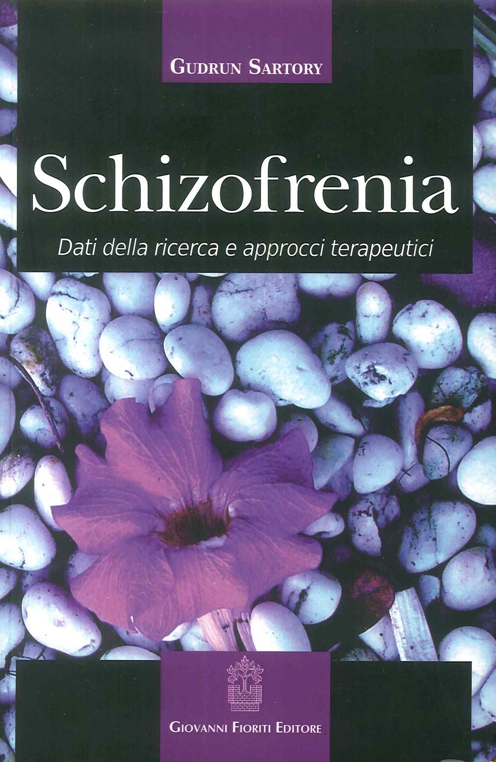 Schizofrenia. Dati della ricerca e approcci terapeutici Medicine