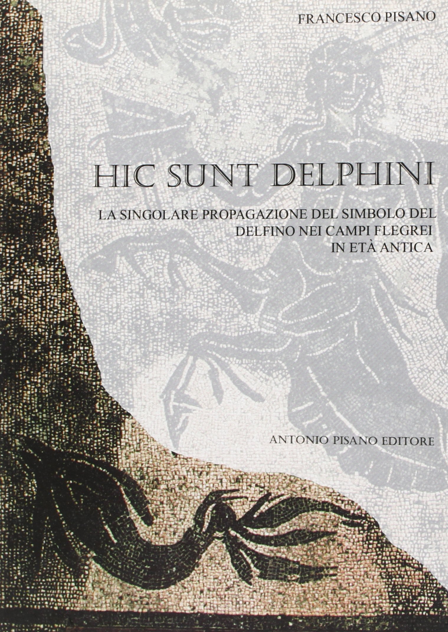 Hic sunt delphini. La singolare propagazione del simbolo del delfino nei campi Flegrei in età antica. Ediz. illustrata book