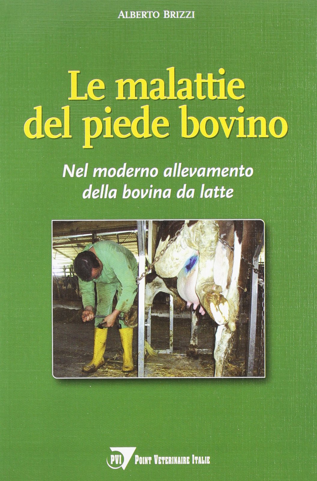 Le malattie del piede bovino. Nel moderno allevamento della bovina da latte book