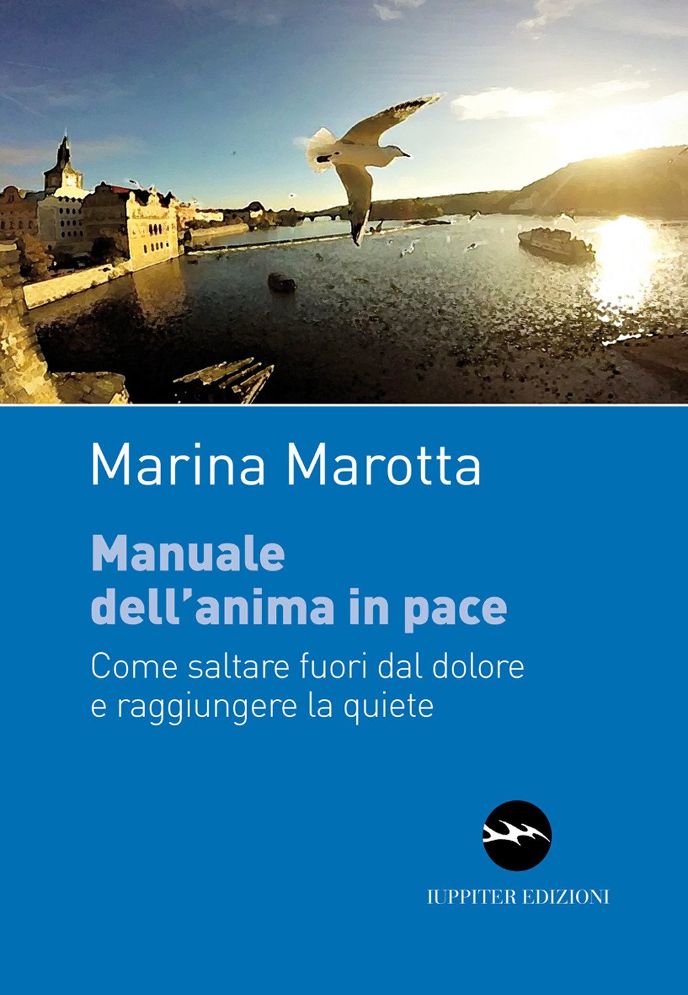 Manuale dell'anima in pace. Come saltare fuori dal dolore e raggiungere la quiete book