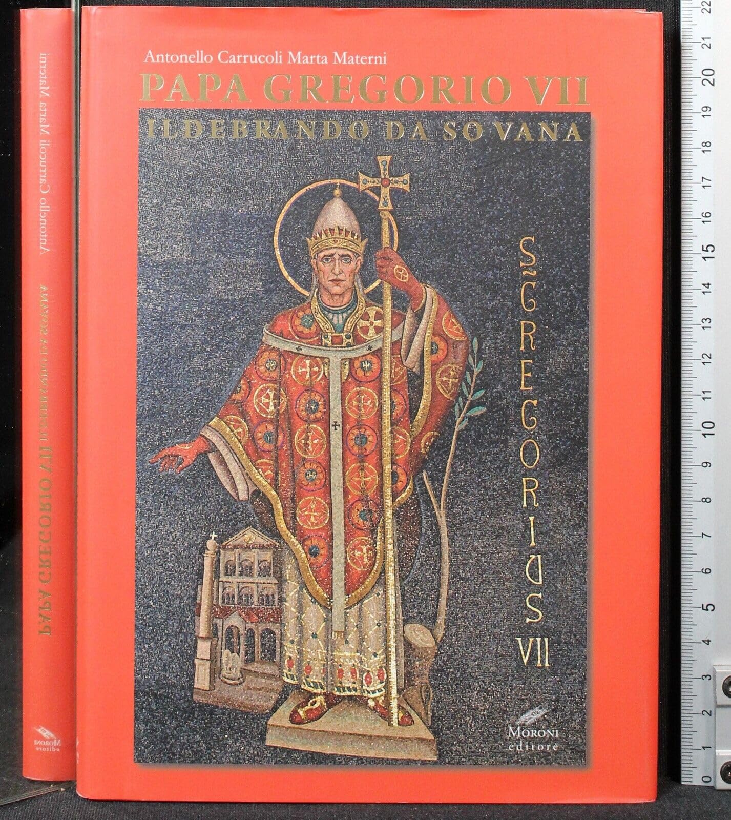 Papa Gregorio VII. Ildebrando da Sovana book