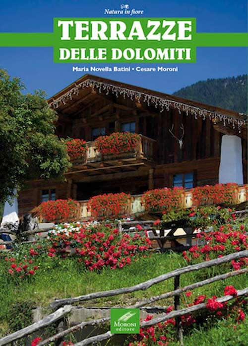 Terrazze delle Dolomiti Leisure, Home & Garden