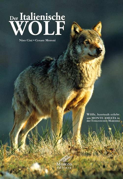 Der Italianische Wolf. Gelebte alltagsleben der apenninischen Wölfe am Monte Amiata in der Toskanischen Maremma Leisure, Home & Garden