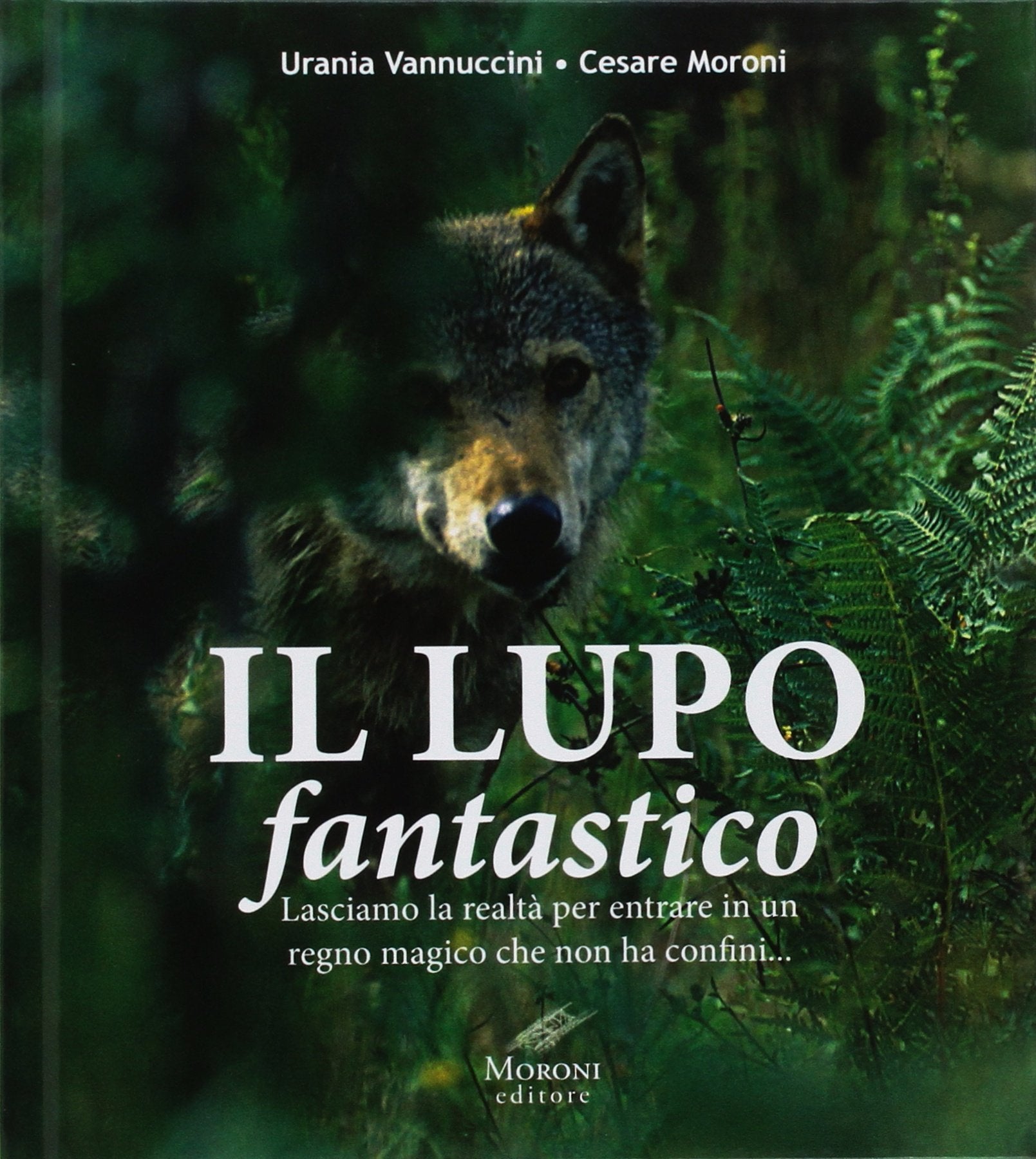 Il lupo fantastico. Lasciamo la realtà per entrare in un regno magico che non ha confini book