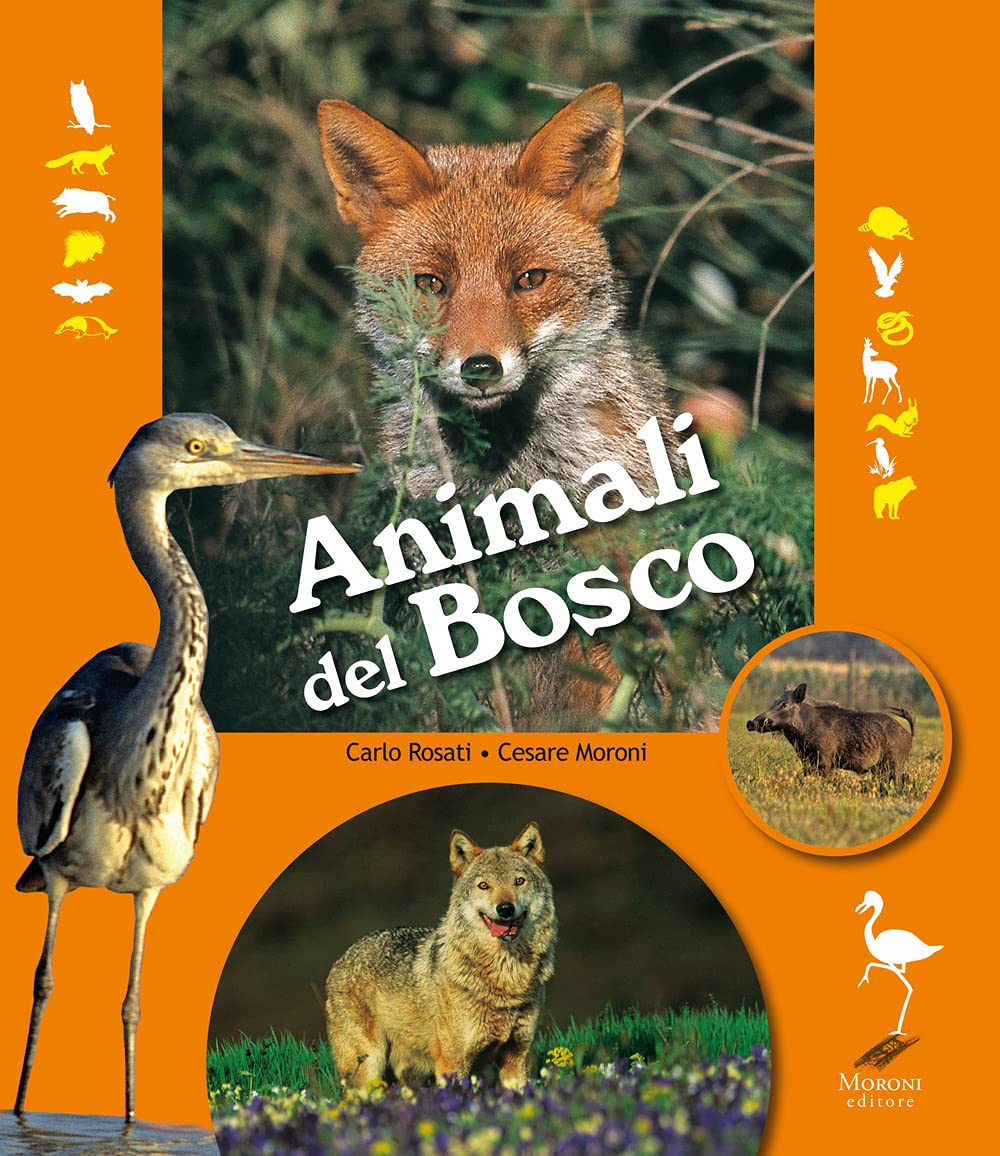 Animali del bosco book