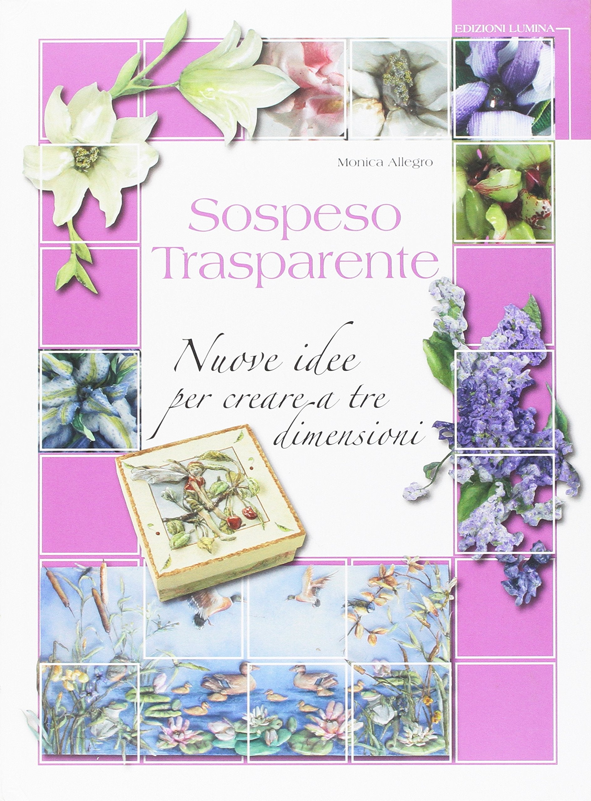 Sospeso trasparente. Nuove idee per creare a tre dimensioni book