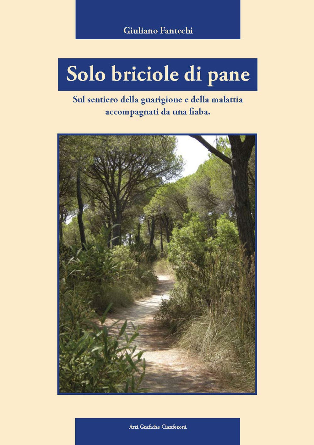 Solo briciole di pane. Sul sentiero della guarigione e della malattia accompagnati da una fiaba (Camminando camminando) Contemporary literature