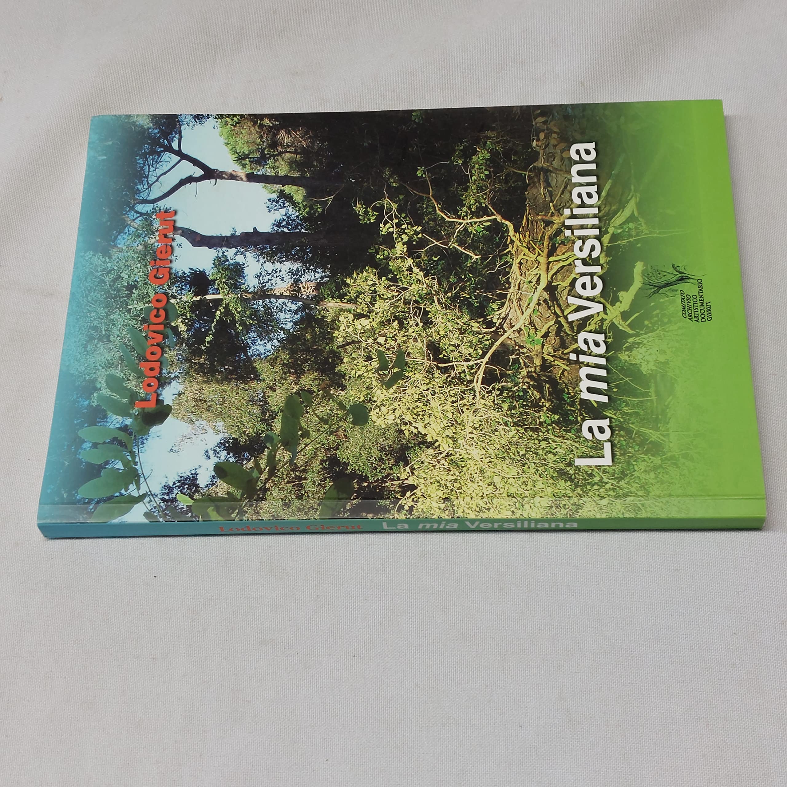 La mia Versiliana. La storia, l'ambiente, l'arte e il mito. Ediz. illustrata book