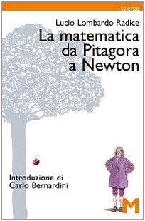 La matematica da Pitagora a Newton book
