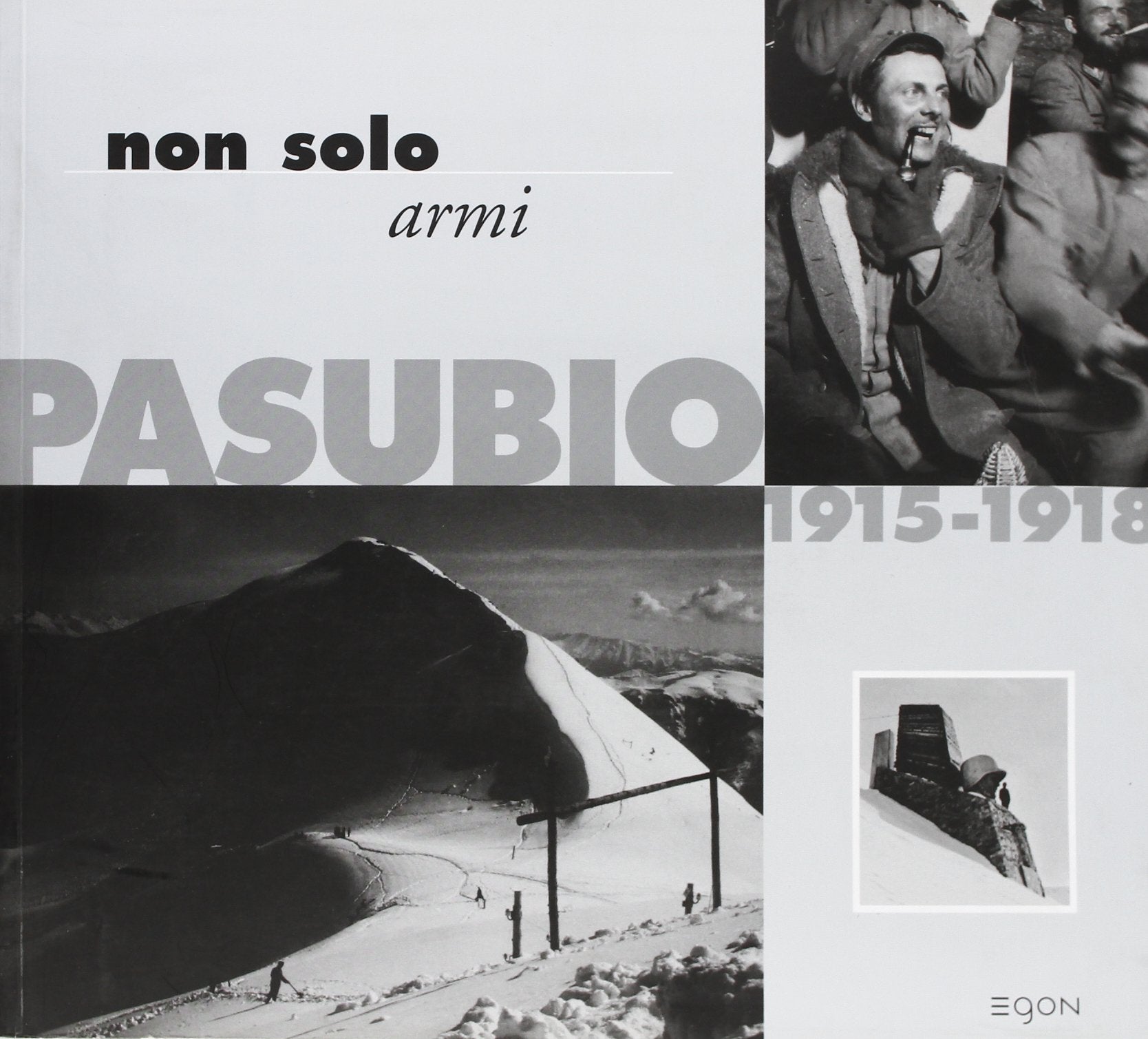 Non solo armi. Pasubio 1915-1918 book