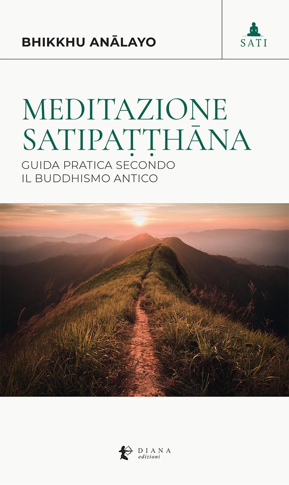 Meditazione satipaṭṭhāna. Guida pratica secondo il buddhismo antico book
