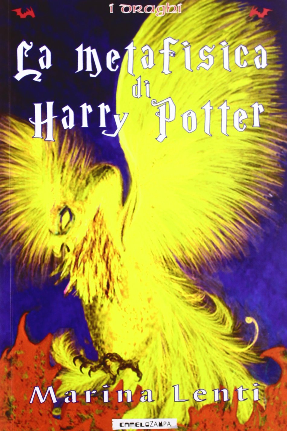 La metafisica di Harry Potter book