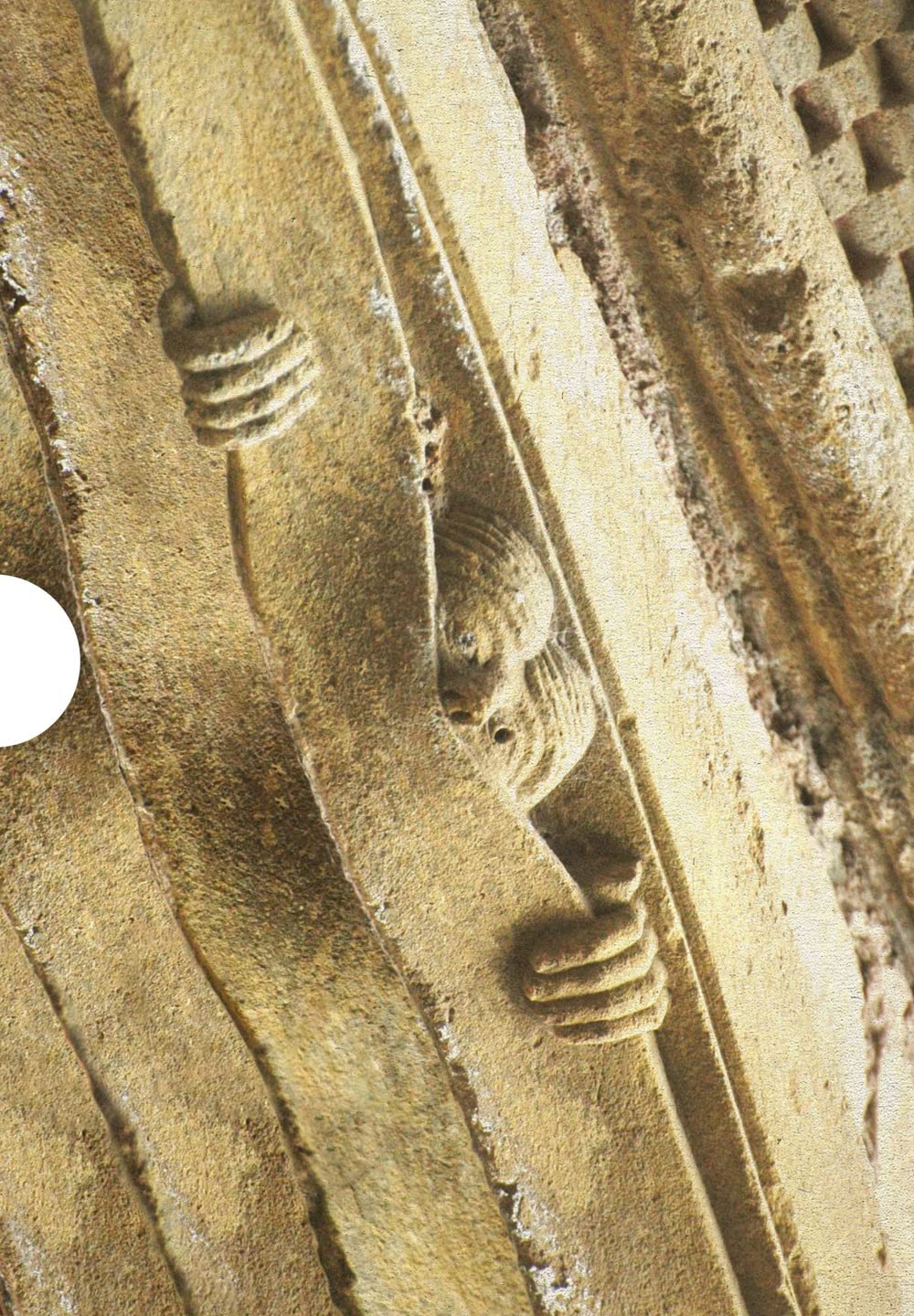 Frammenti di un discorso iconografico paleocristiano. L'imaginarius paleocristiano tra salvezza e propaganda: quid est veritas? book