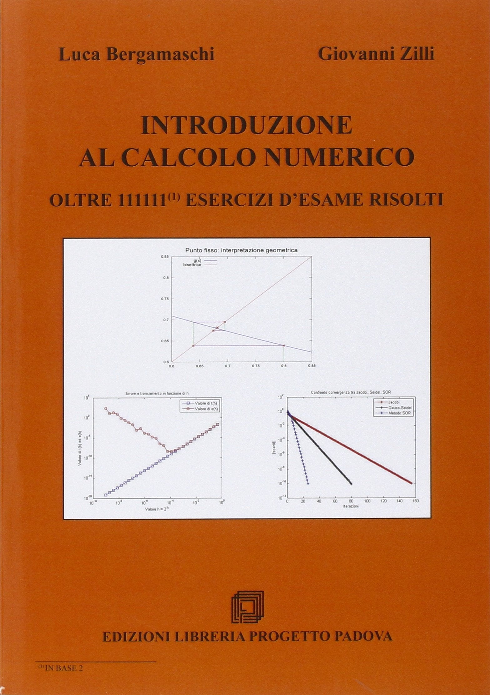 Introduzione al calcolo numerico. Oltre 111111 esercizi d'esame risolti book