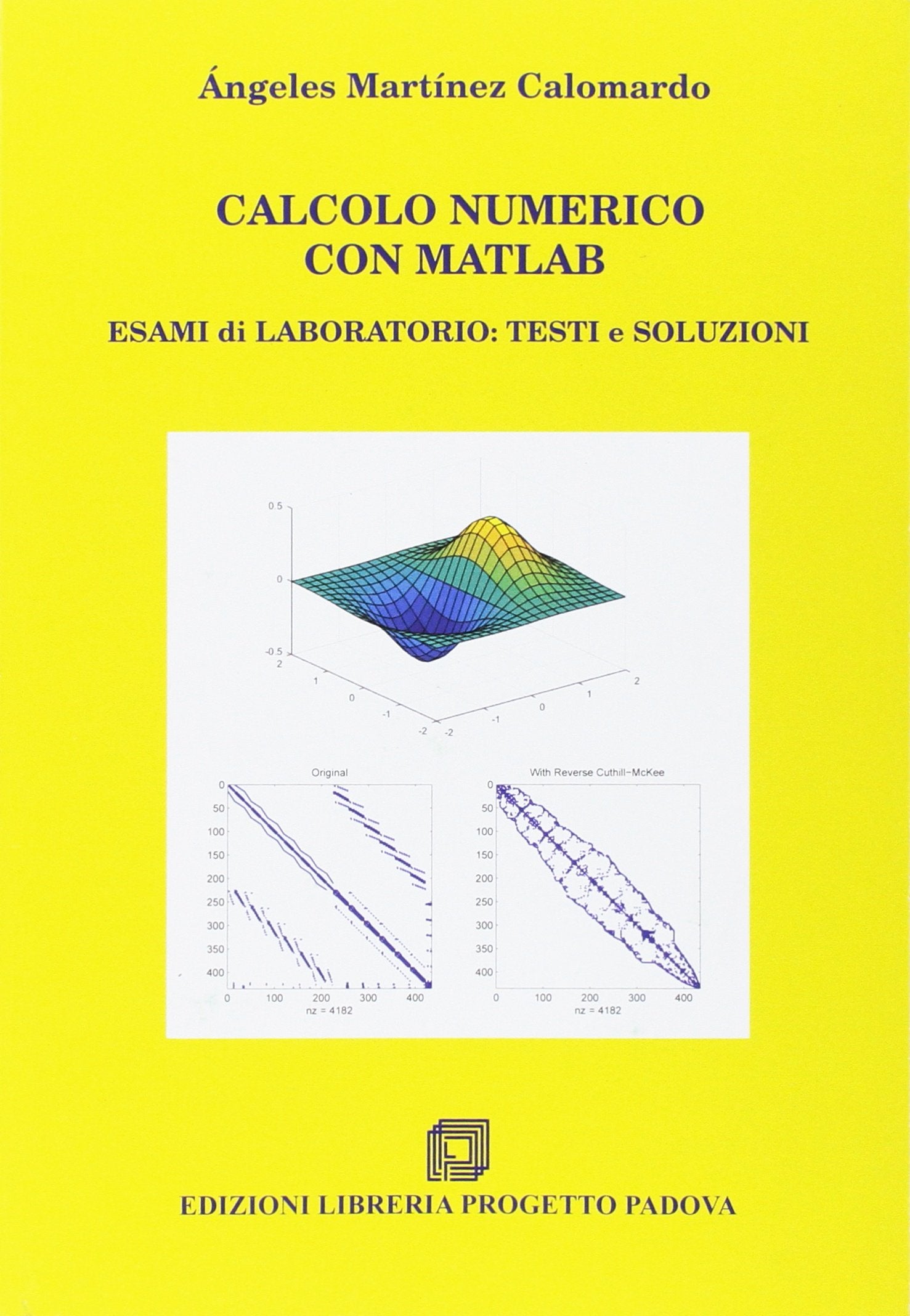 Calcolo numerico con Matlab. Esami di laboratorio. Testi e soluzioni book