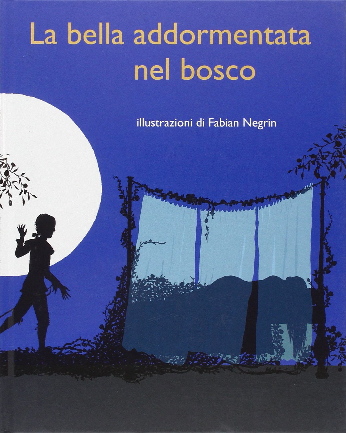 La bella addormentata nel bosco. Ediz. illustrata book