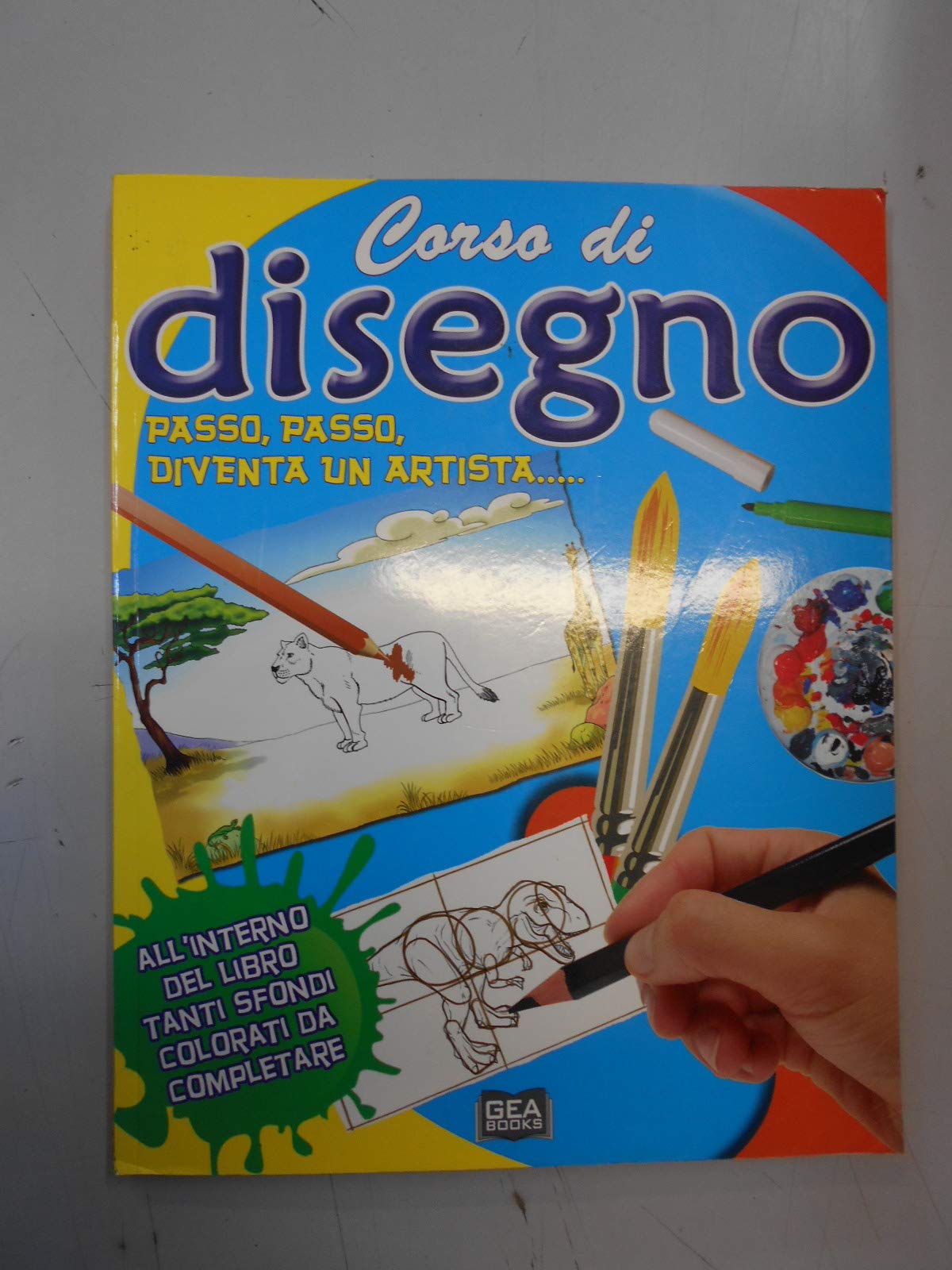 Corso di disegno - Passo, passo, diventa un'artista... book